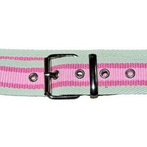 Y2K Pink & White Striped Canvas Belt‎ with Silver Buckle Girlcore
